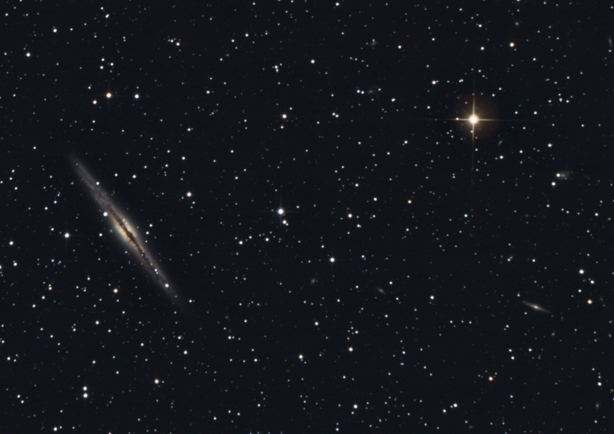 NGC 891