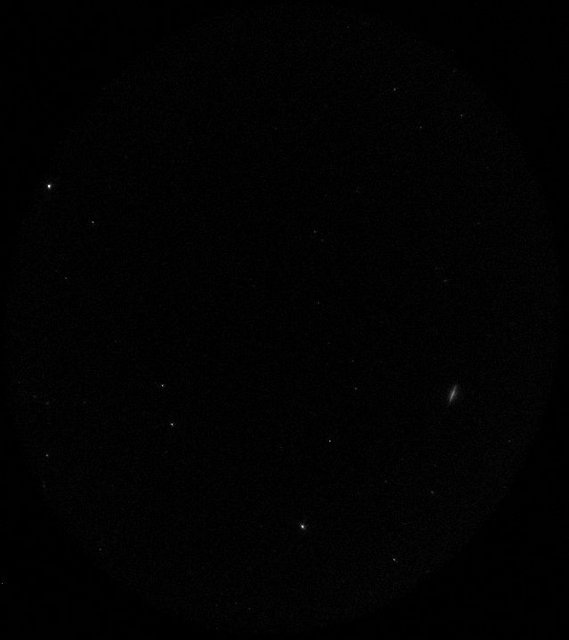 20091117 9UT Leonid meteor capture