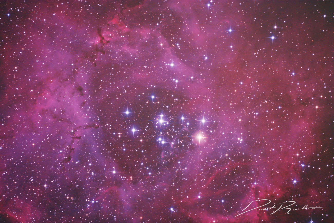 The Rosette Nebula