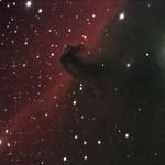 horsehead-2