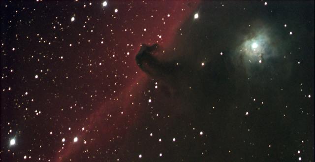 horsehead-2