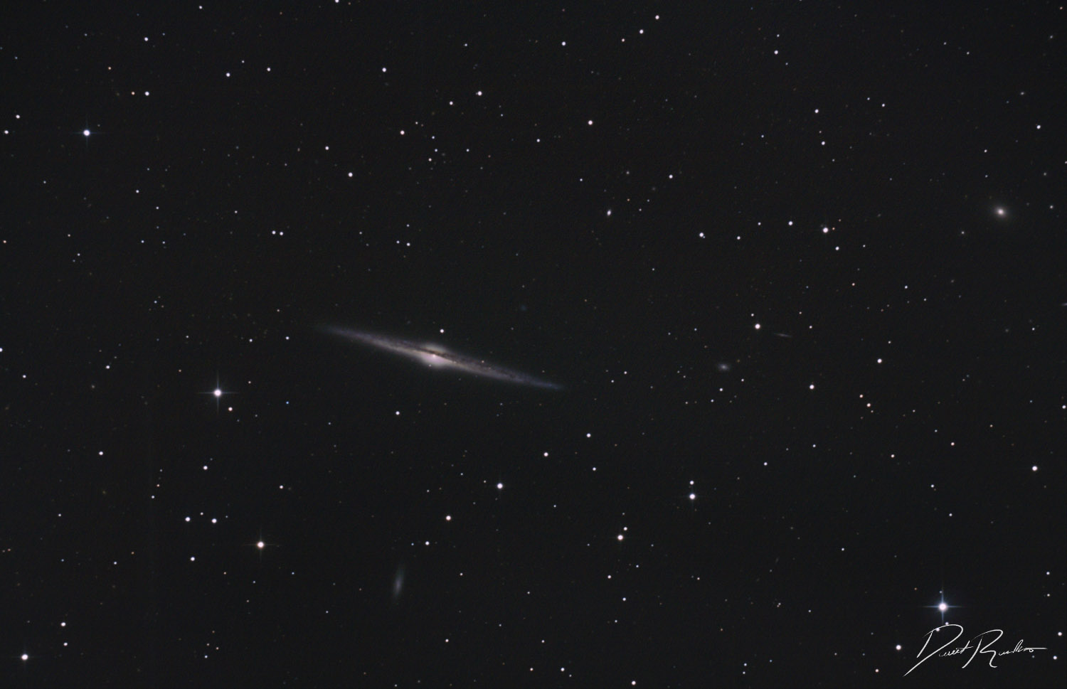 NGC 4565