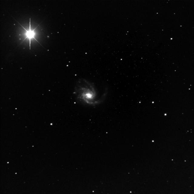 M99 Face-on spiral via GRASS NM Scope 1 