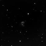 NGC4038-39 Caldwell60-61 via GRASS NM Scope 1