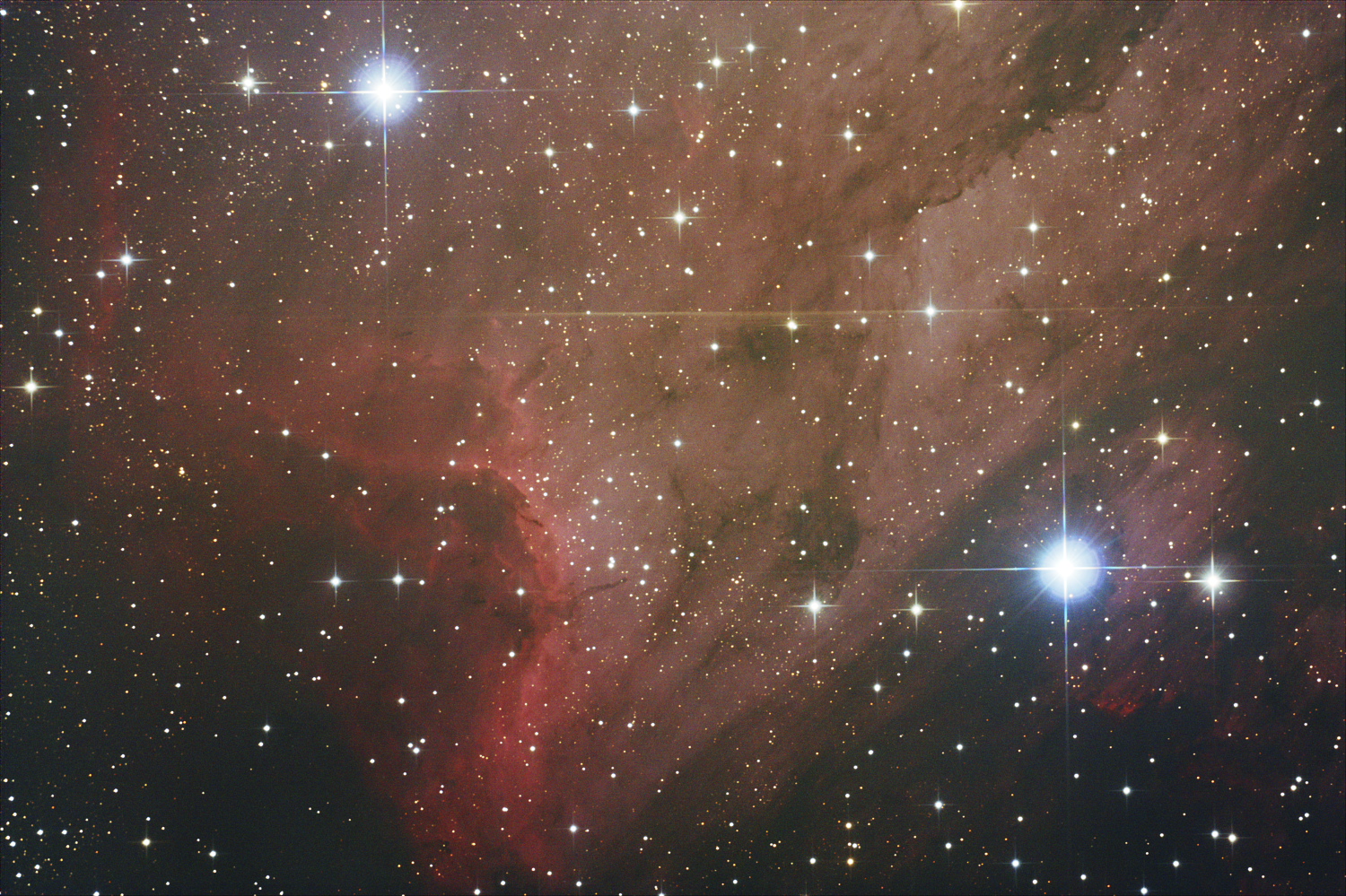 The Pelican Nebula in Cygnus