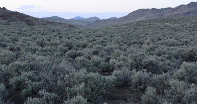 Observing site looking N.N.E.