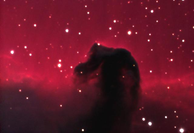 Horsehead4