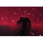 Horsehead3