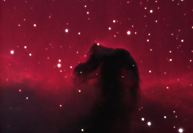 Horsehead3