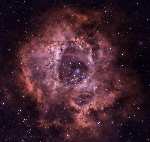 Rosette Nebula NGC2244 (Caldwell 49)