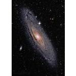 M31 Experimental Processing