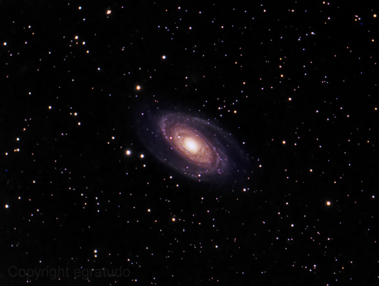 M81 Bode's Nebula