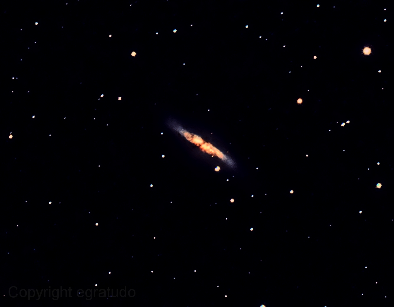 M82