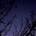 Comet 17P Holmes 11-05-07 55mm iso400 30 sec (2) + meteor