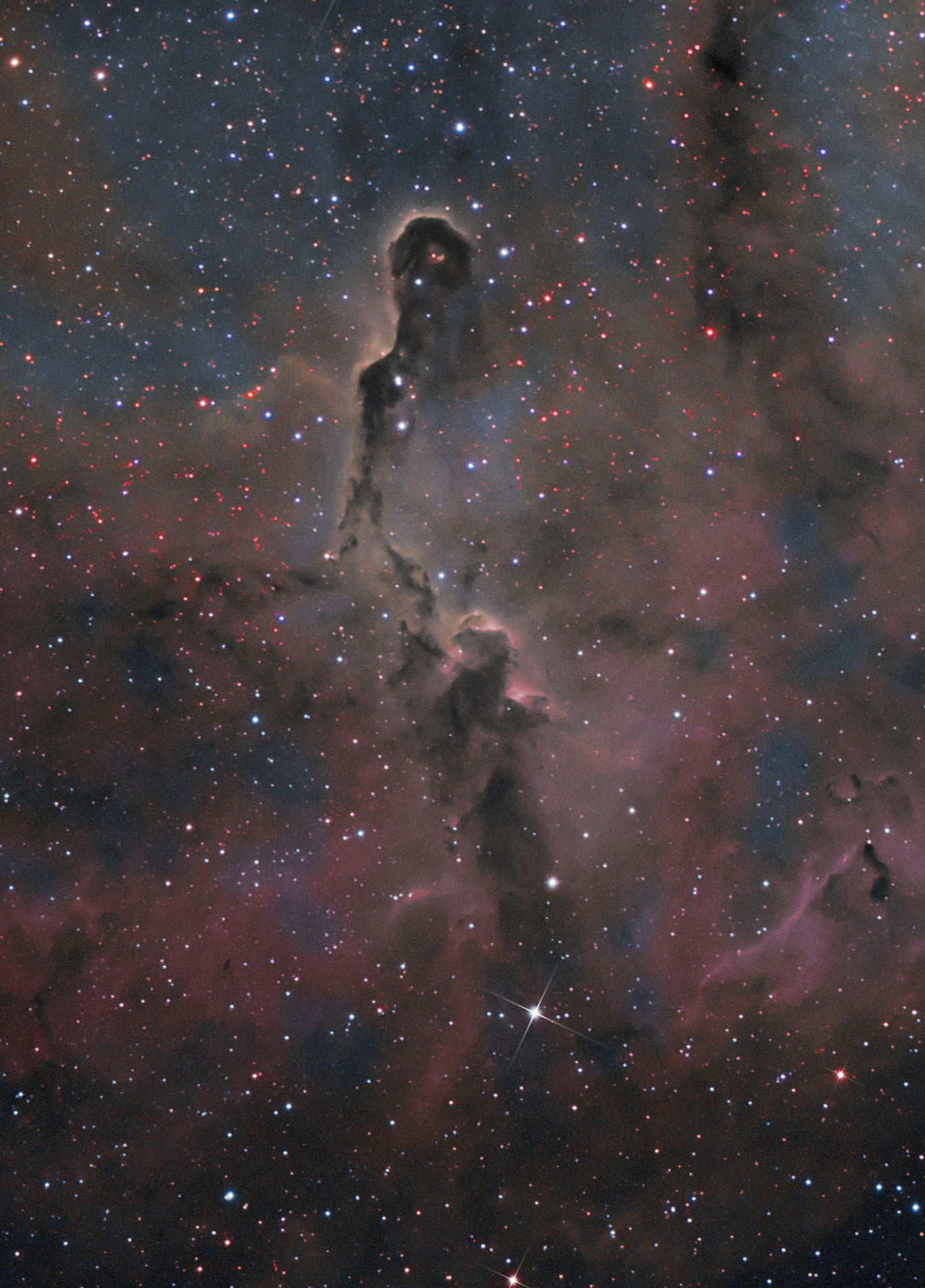 IC1396 Elephant T Final 11 (Close Field)