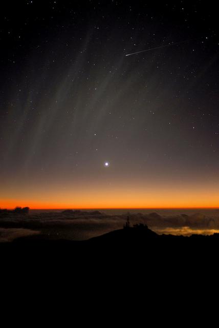 Synchronic Banding of Comet McNaught